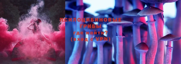 стаф Михайловка