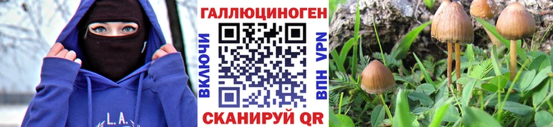 Галлюциногенные грибы MAGIC MUSHROOMS  как найти наркотики  Самара 
