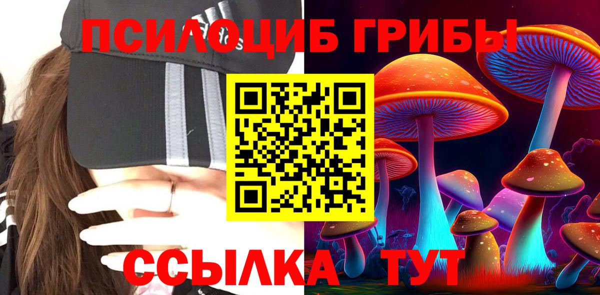 Самара  Псилоцибиновые грибы мицелий  Вход с VPN 